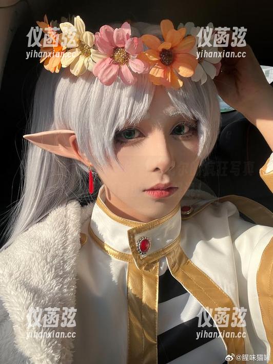 让我们定制一场禁闭者艾瑞尔的疯狂写真，腥味猫罐的独家解说！